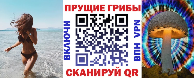 купить   Добрянка  Галлюциногенные грибы Psilocybe 