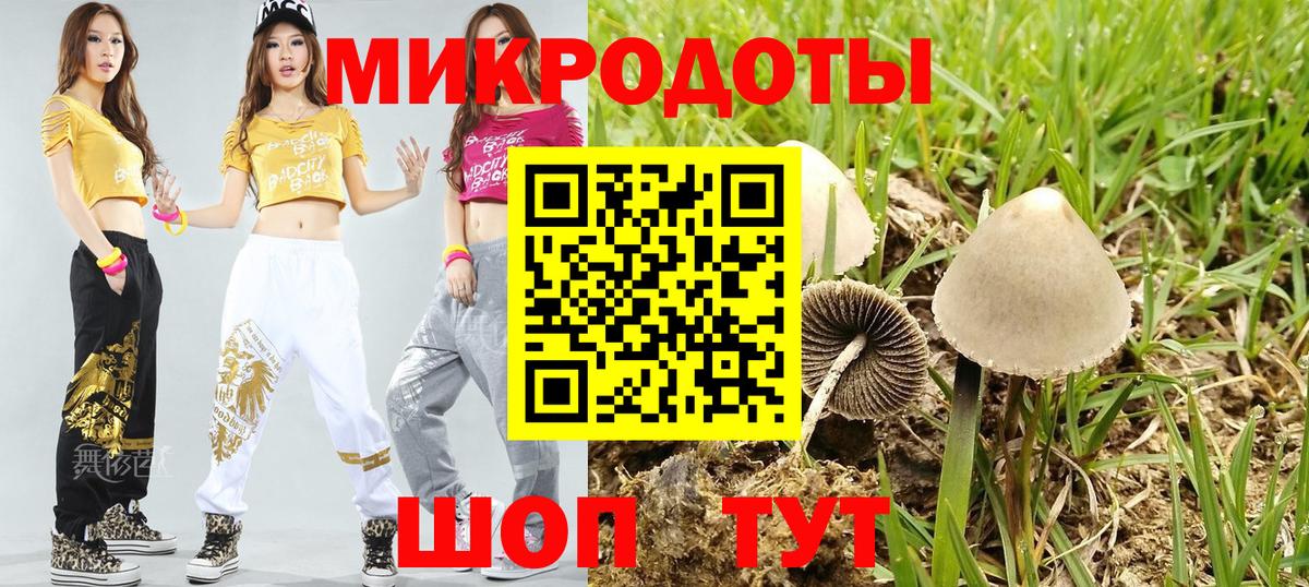 Галлюциногенные грибы мухоморы Добрянка