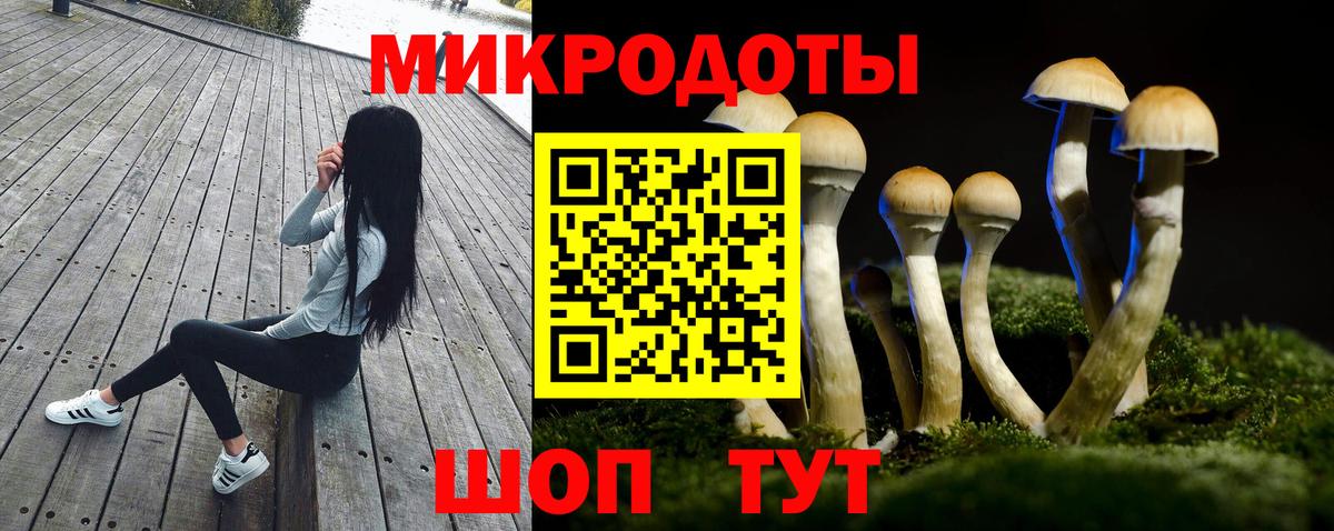 Галлюциногенные грибы GOLDEN TEACHER  Вход с VPN  Галлюциногенные грибы прущие грибы  Добрянка 